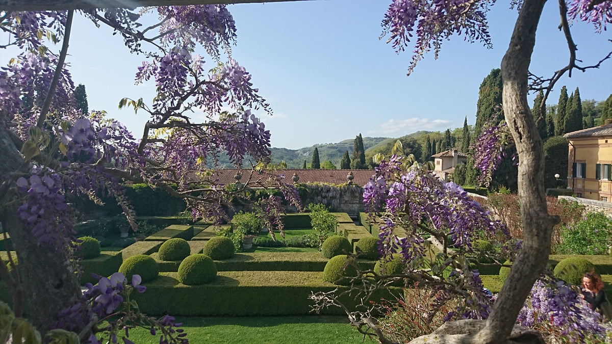 Goodbye Florence - Hello Tuscany!