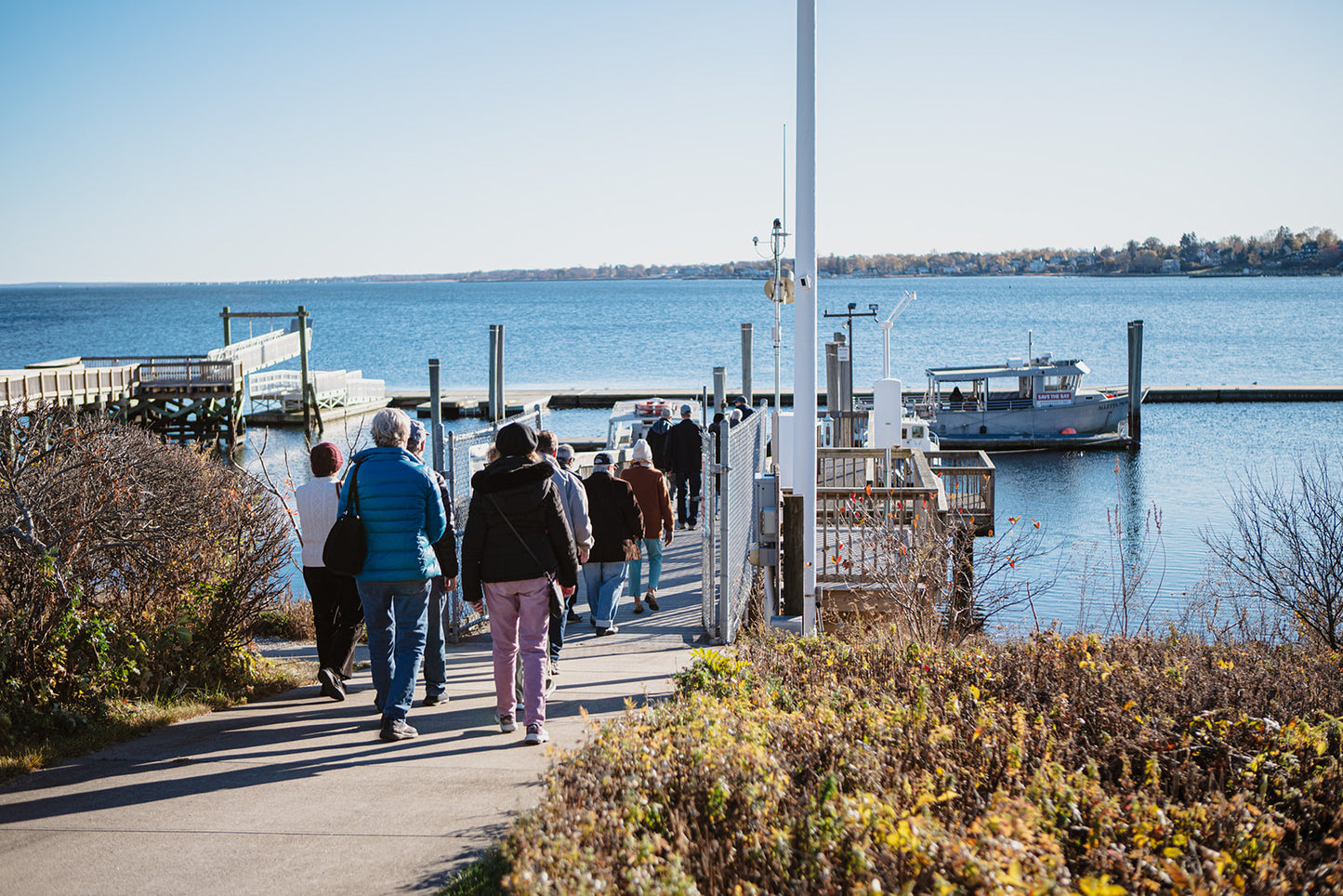 Save The Bay: Boats on the Bay